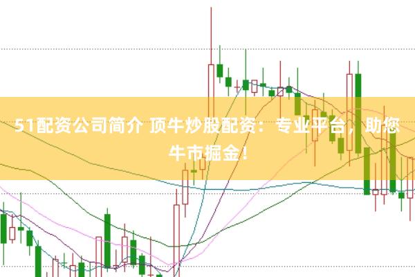 51配资公司简介 顶牛炒股配资：专业平台，助您牛市掘金！