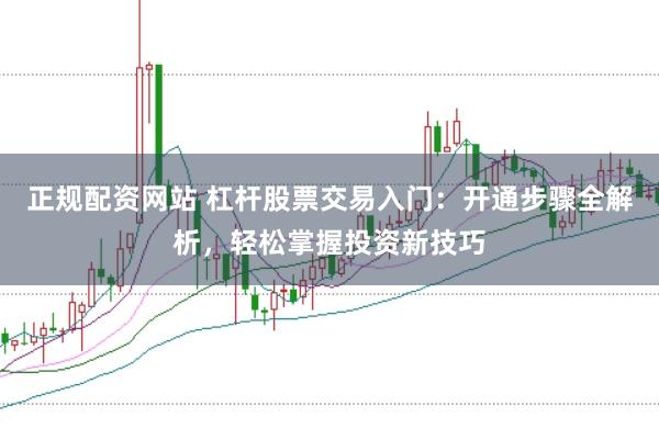 正规配资网站 杠杆股票交易入门：开通步骤全解析，轻松掌握投资新技巧