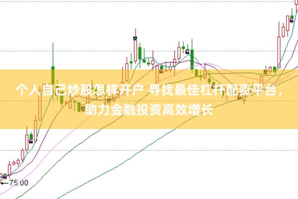 个人自己炒股怎样开户 寻找最佳杠杆配资平台，助力金融投资高效增长