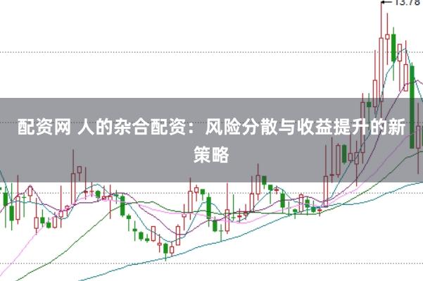 配资网 人的杂合配资：风险分散与收益提升的新策略