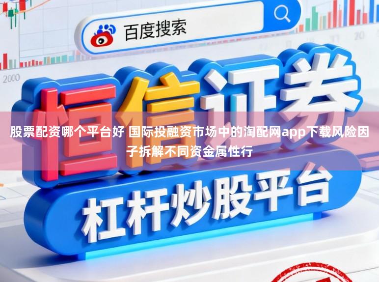 股票配资哪个平台好 国际投融资市场中的淘配网app下载风险因子拆解不同资金属性行