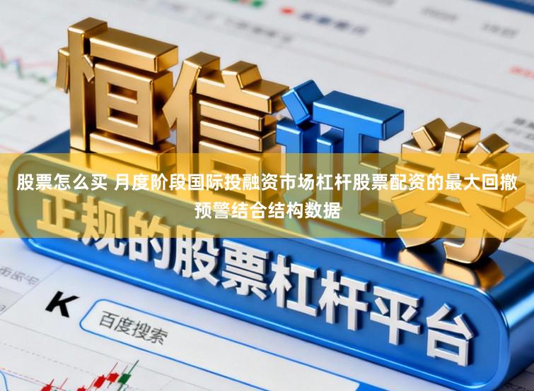 股票怎么买 月度阶段国际投融资市场杠杆股票配资的最大回撤预警结合结构数据