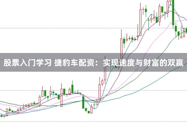 股票入门学习 捷豹车配资：实现速度与财富的双赢